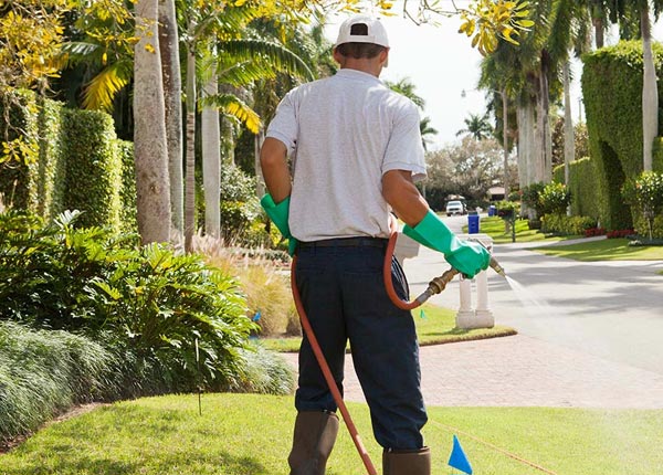 About Springfield OR Pest Control Pros